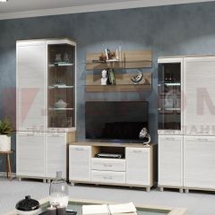 Гостиная Мелисса Композиция 5 (корпус Ясень Асахи, фасад Снежный ясень) в Кудымкаре - kudymkar.mebel24.online | фото 2