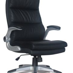 Кресло офисное BRABIX "Fregat EX-510" (рециклированная кожа, черное) 530863 в Кудымкаре - kudymkar.mebel24.online | фото 1