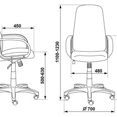 Кресло руководителя Бюрократ CH-808AXSN/G темно-серый 3C1 в Кудымкаре - kudymkar.mebel24.online | фото 3