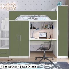 Кровать-чердак Тея (*Без Пенала) в Кудымкаре - kudymkar.mebel24.online | фото 6