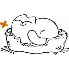 Кровать двухуровневая Кот № 900.1 ПРАВАЯ (туя светлая/белый) в Кудымкаре - kudymkar.mebel24.online | фото 2