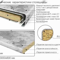 Кухонный фартук со столешницей (А-01) в едином стиле (3050 мм) в Кудымкаре - kudymkar.mebel24.online | фото 6