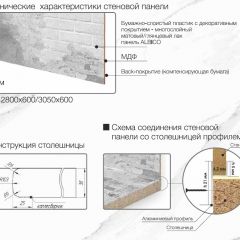 Кухонный фартук со столешницей (А-010) в едином стиле (3050 мм) в Кудымкаре - kudymkar.mebel24.online | фото 6