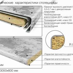 Кухонный фартук со столешницей (А-011) в едином стиле (3050 мм) в Кудымкаре - kudymkar.mebel24.online | фото 6