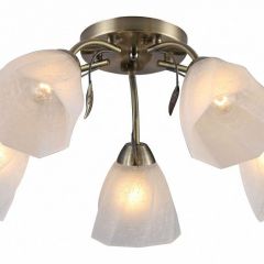 Потолочная люстра Rivoli Olivia Б0052693 в Кудымкаре - kudymkar.mebel24.online | фото