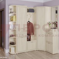 Прихожая Карина композиция 5 (Ясень Асахи) в Кудымкаре - kudymkar.mebel24.online | фото