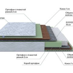 PROxSON Матрас Green M (Tricotage Dream) 80x220 в Кудымкаре - kudymkar.mebel24.online | фото 7