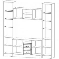 ВИКТОРИЯ Центральная секция в Кудымкаре - kudymkar.mebel24.online | фото 2