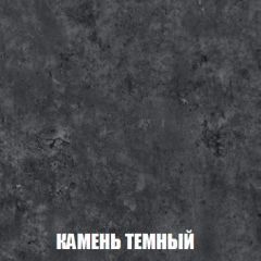 Шкаф 2-х створчатый МСП-1 (Дуб Золотой/Камень темный) в Кудымкаре - kudymkar.mebel24.online | фото 5