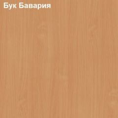 Шкаф для документов с нижней дверью Логика Л-10.3 в Кудымкаре - kudymkar.mebel24.online | фото 2