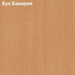 Шкаф для документов с нижними дверями Логика Л-9.3 в Кудымкаре - kudymkar.mebel24.online | фото 3