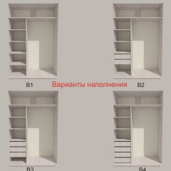 Шкаф-купе 1300 серии SILVER S4+S3Z+B2+PL1 (2 ящика+1 штанга) профиль «Серебро» в Кудымкаре - kudymkar.mebel24.online | фото 5