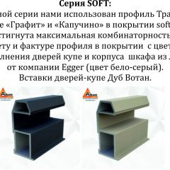 Шкаф-купе 1400 серии SOFT D8+D2+B2+PL4 (2 ящика+F обр.штанга) профиль «Капучино» в Кудымкаре - kudymkar.mebel24.online | фото 10