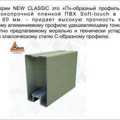 Шкаф-купе 1500 серии NEW CLASSIC K3+K3+B2+PL1 (2 ящика+1 штанга) профиль «Капучино» в Кудымкаре - kudymkar.mebel24.online | фото 5