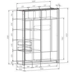 Шкаф-купе 1600 с плитой 22 мм ЛИБЕРТИ в Кудымкаре - kudymkar.mebel24.online | фото 4