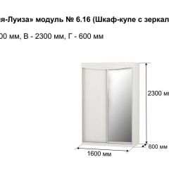 Шкаф-купе 1600 с зеркалом "Мария-Луиза 6.16" в Кудымкаре - kudymkar.mebel24.online | фото 4