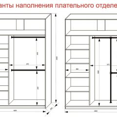 Шкаф-купе 1600 серии SOFT D6+D4+B2+PL2 (2 ящика+1штанга+1 полка) профиль «Капучино» в Кудымкаре - kudymkar.mebel24.online | фото 9