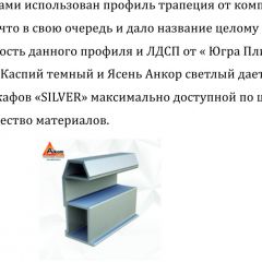 Шкаф-купе 1950 серии SILVER S3+S1+S3Z B22+PL2 (по 2 ящика лев/прав+1штанга+1 полка) профиль «Серебро» в Кудымкаре - kudymkar.mebel24.online | фото 4