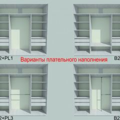 Шкаф-купе 1950 серии SILVER S3+S1+S3Z B22+PL2 (по 2 ящика лев/прав+1штанга+1 полка) профиль «Серебро» в Кудымкаре - kudymkar.mebel24.online | фото 6