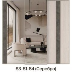 Шкаф-купе 1950 серии SILVER S3+S1+S3Z B22+PL2 (по 2 ящика лев/прав+1штанга+1 полка) профиль «Серебро» в Кудымкаре - kudymkar.mebel24.online | фото 9