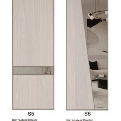 Шкаф-купе 1950 серии SILVER S3+S1+S3Z B22+PL2 (по 2 ящика лев/прав+1штанга+1 полка) профиль «Серебро» в Кудымкаре - kudymkar.mebel24.online | фото 14