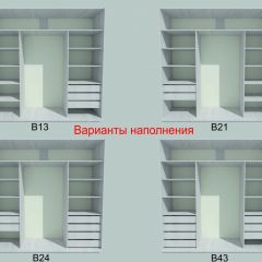 Шкаф-купе 1950 серии SILVER S3+S1+S4 B22+PL3 (по 2 ящика лев/прав+2 штанги) профиль «Серебро» в Кудымкаре - kudymkar.mebel24.online | фото 5