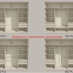 Шкаф-купе 2400 серии SOFT D5+D5+D5+B22+PL4 (по 2 ящика лев/прав+2штанги) профиль «Графит» в Кудымкаре - kudymkar.mebel24.online | фото 4
