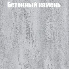 Шкаф-купе Бассо 1.0 (Дуб Крафт серый/Бетонный камень) 2 двери ЛДСП 1 зеркальная вставка в Кудымкаре - kudymkar.mebel24.online | фото 3