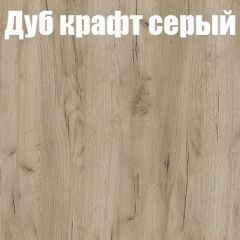 Шкаф-купе Бассо 1.0 (Дуб Крафт серый/Бетонный камень) 2 двери ЛДСП 1 зеркальная вставка в Кудымкаре - kudymkar.mebel24.online | фото 4