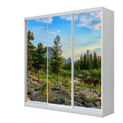 Шкаф-купе ХИТ 22-18-777 (620) в Кудымкаре - kudymkar.mebel24.online | фото