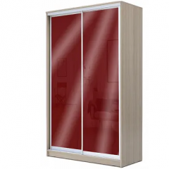 Шкаф-купе ХИТ 22-4-12/2-22 (420) в Кудымкаре - kudymkar.mebel24.online | фото 7