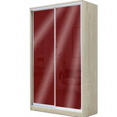Шкаф-купе ХИТ 22-4-12/2-22 (420) в Кудымкаре - kudymkar.mebel24.online | фото 8