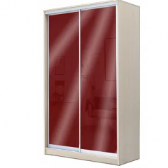 Шкаф-купе ХИТ 22-4-12/2-22 (420) в Кудымкаре - kudymkar.mebel24.online | фото 9