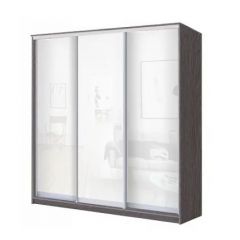 Шкаф-купе ХИТ 23-18/2-888 (620) в Кудымкаре - kudymkar.mebel24.online | фото 1