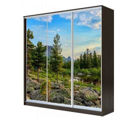 Шкаф-купе ХИТ 23-4-18-777 (420) в Кудымкаре - kudymkar.mebel24.online | фото 1