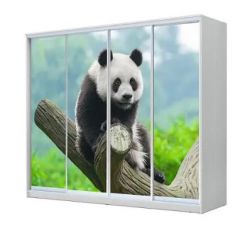 Шкаф-купе ХИТ 23-4-24/2-7777 (420) в Кудымкаре - kudymkar.mebel24.online | фото 1