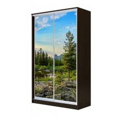 Шкаф-купе ХИТ 24-4-14-77 (420) в Кудымкаре - kudymkar.mebel24.online | фото