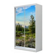 Шкаф-купе ХИТ 24-4-15-77 (420) в Кудымкаре - kudymkar.mebel24.online | фото 1