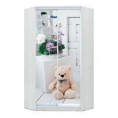 Шкаф-купе ХИТ-У-23-4-77 в Кудымкаре - kudymkar.mebel24.online | фото