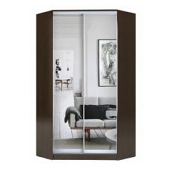 Шкаф-купе ХИТ-У-L-22-64-55 в Кудымкаре - kudymkar.mebel24.online | фото 2