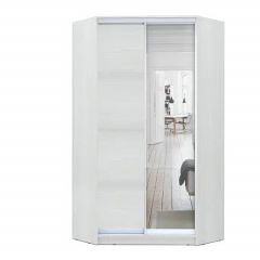Шкаф-купе ХИТ-У-L-24-64-15 в Кудымкаре - kudymkar.mebel24.online | фото