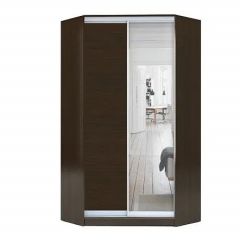 Шкаф-купе ХИТ-У-R-22-64-15 в Кудымкаре - kudymkar.mebel24.online | фото