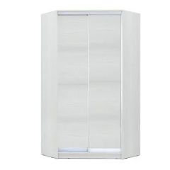 Шкаф-купе ХИТ-У-R-24-64-11 в Кудымкаре - kudymkar.mebel24.online | фото