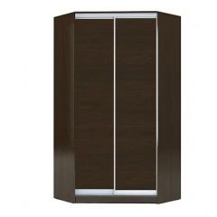 Шкаф-купе ХИТ-У-R-24-64-11 в Кудымкаре - kudymkar.mebel24.online | фото 6