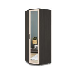 ЕВА Шкаф угловой Е58 в Кудымкаре - kudymkar.mebel24.online | фото 3