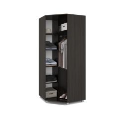 ВИОРА Шкаф угловой В59 в Кудымкаре - kudymkar.mebel24.online | фото 4