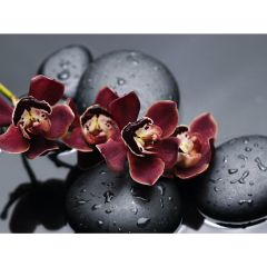 Стол обеденный Бостон Ст101.1 орхидеи в Кудымкаре - kudymkar.mebel24.online | фото 3