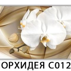 Стол раздвижной Трилогия с фотопечатью Орхидея C013 в Кудымкаре - kudymkar.mebel24.online | фото 13