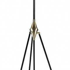 Светильник на штанге Lightstar Modena 816047 в Кудымкаре - kudymkar.mebel24.online | фото