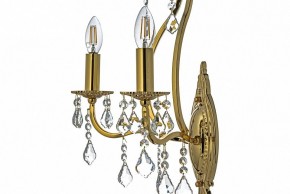Бра Arti Lampadari Ercolano Ercolano E 2.1.2.602 G в Кудымкаре - kudymkar.mebel24.online | фото 6